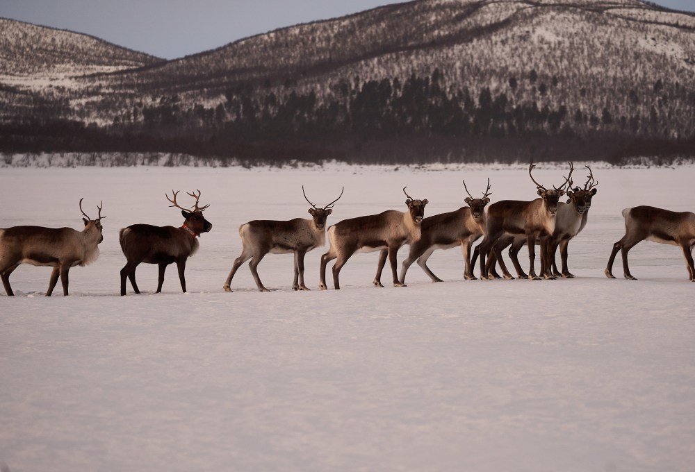 Ein weiterer Tag in der Wildnis